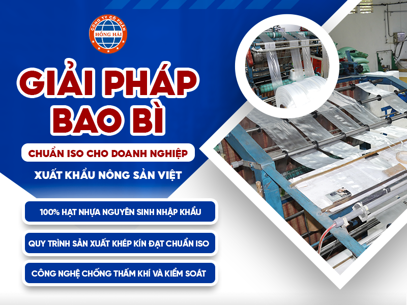 GIẢI PHÁP BAO BÌ CHUẨN ISO CHO DOANH NGHIỆP XUẤT KHẨU NÔNG SẢN VIỆT 